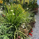 Agapi's Seaside Place Apartman Faliráki