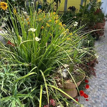 Agapi's Seaside Place Apartment Faliraki