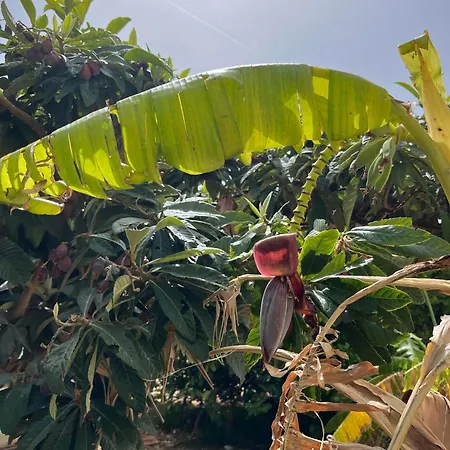 Agapi's Seaside Place ファリラキ