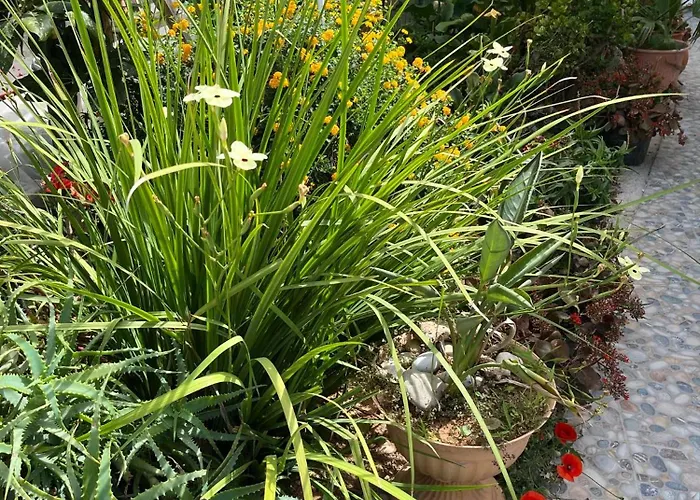 Agapi's Seaside Place شقة فاليراكي